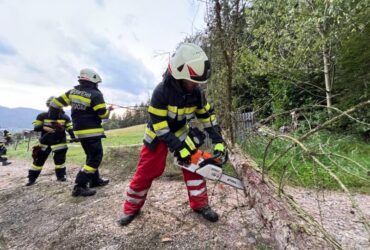 16.08.2024: Unwettereinsatz Herzogberg – Baum auf Straße (T07)