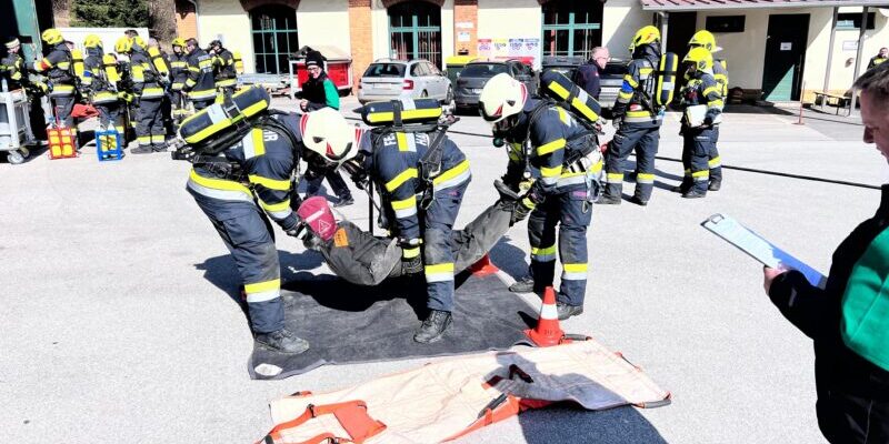 2c94019f-d1e0-4000-9b7f-0728627b478b