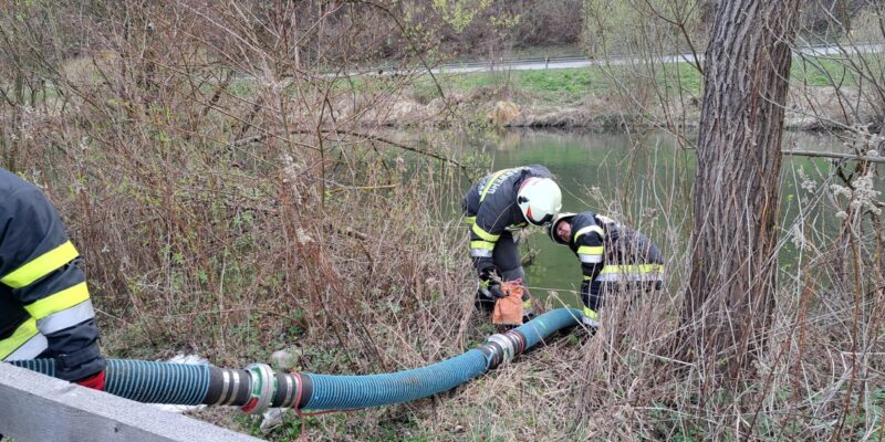 0a2665c7-fb6e-4a90-aa95-ee1a0e0a061d